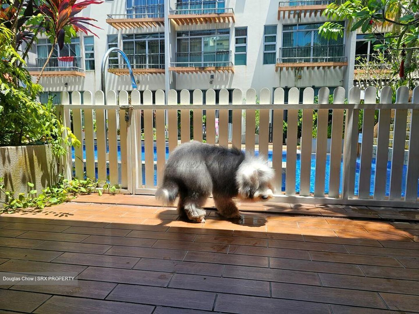 Sembawang Springs Estate (D27), Terrace #484254621